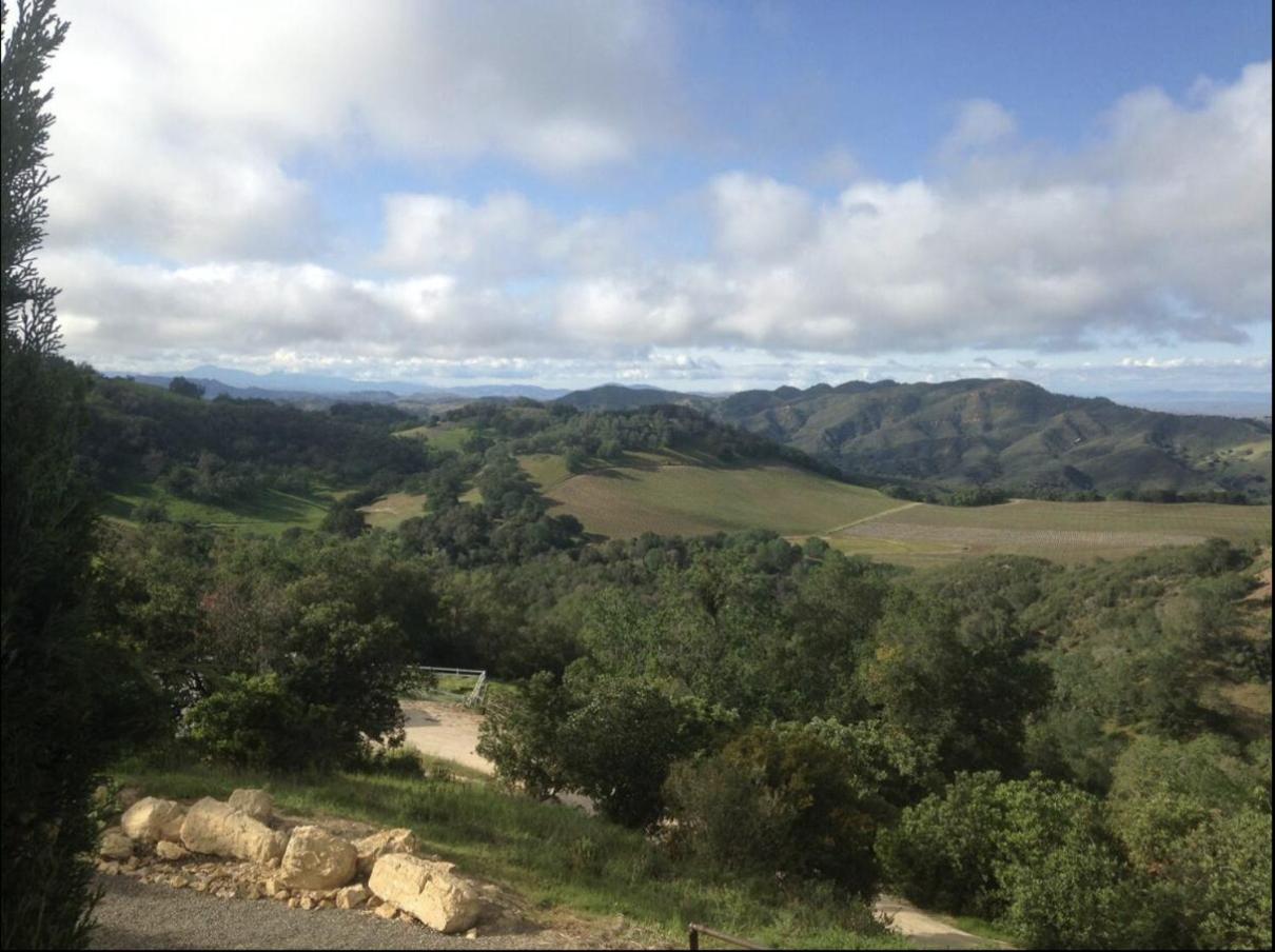 Lekai Ranch Forever Vineyard Views Adelaida Экстерьер фото